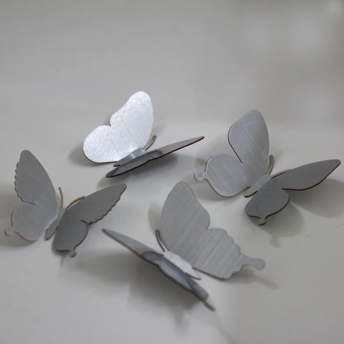 پروانه نقره ای سالی وان بسته 20 عددی