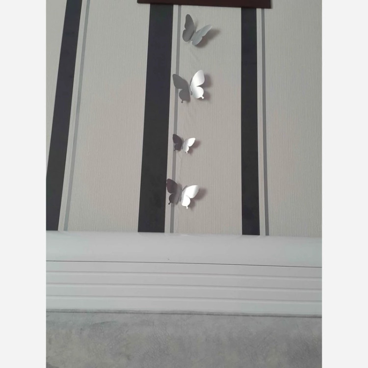 پروانه نقره ای سالی وان بسته 20 عددی