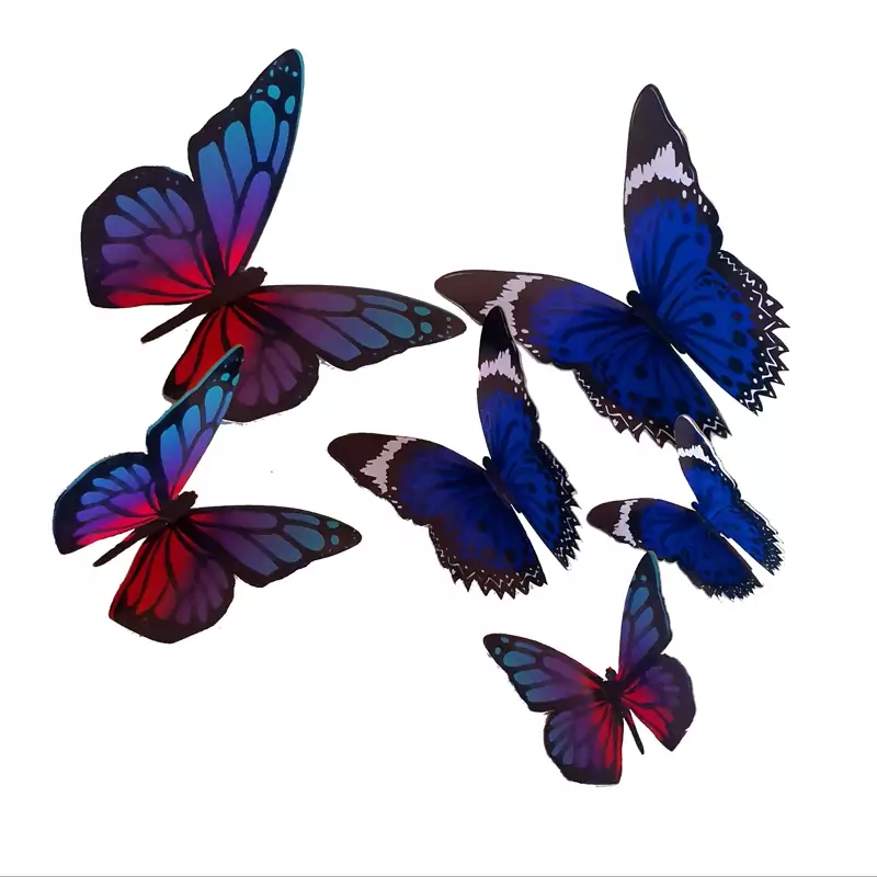 پروانه سالی وان بسته 6 عدد کد E5