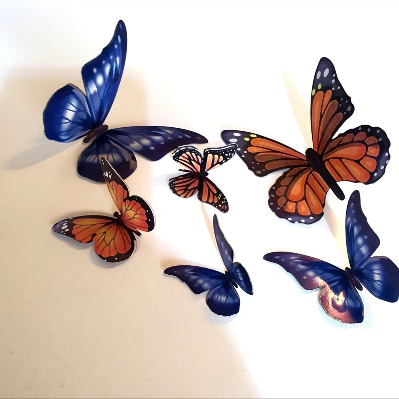 پروانه سالی وان بسته 6 عدد کد E7