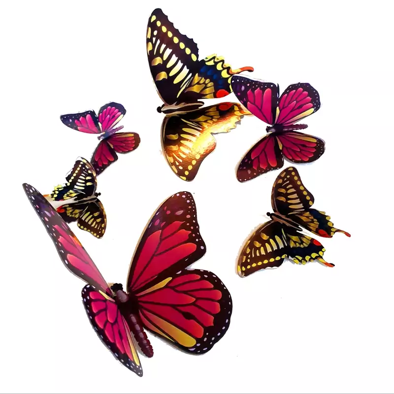 پروانه سالی وان بسته 6 عدد کد E2